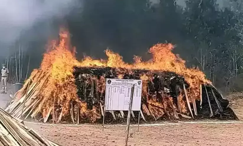 ഇന്ന് കഞ്ചാവും കറുപ്പും കൂട്ടിയിട്ട് കത്തിക്കും; ആയിരമല്ല, പതിനായിരമല്ല, 21,000 കിലോ!