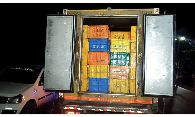 തമിഴ്നാട്ടിൽ നിന്ന് കൊണ്ടുവന്ന 10750 കിലോ പഴകിയ മത്സ്യം പിടികൂടി