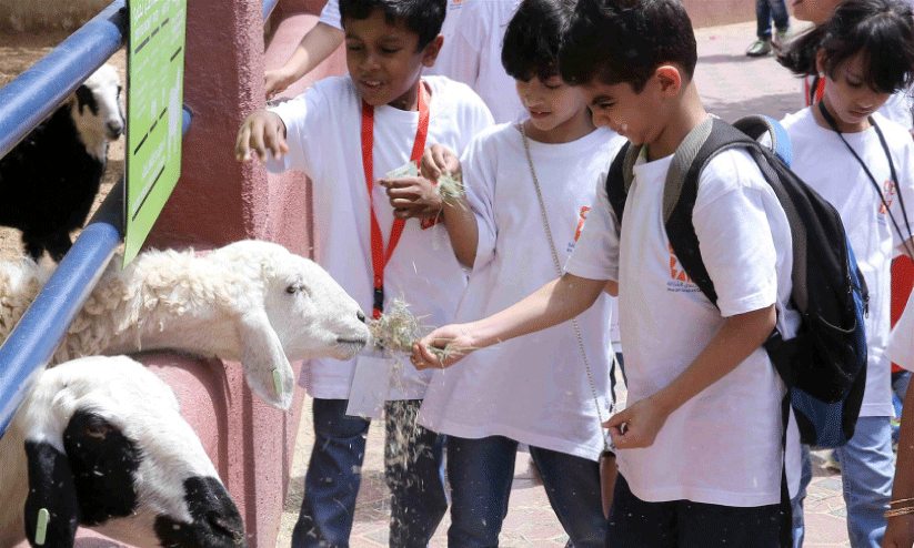 അവധിക്കാലത്ത് കളിക്കാം, പുസ്തകങ്ങൾക്കൊപ്പം
