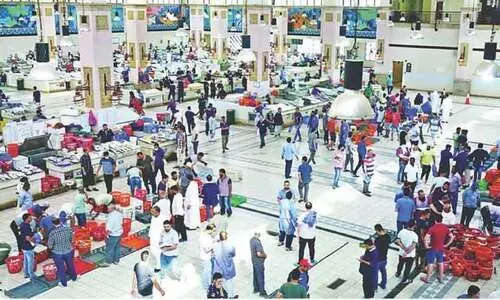 അസ്വാഭാവിക വില വർധന: മത്സ്യലേലം നിരീക്ഷിക്കും