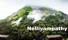 Nelliyampathy