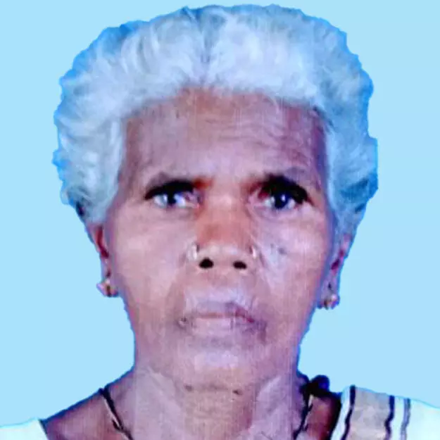 ചെ​ല്ല