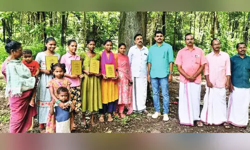 Respect for the best students in the forest Respect for the best students in the forest