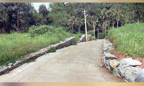 വാര്‍ഡ് അംഗം സ്വന്തം വസ്തുവിലേക്ക് പഞ്ചായത്ത് ഫണ്ടുപയോഗിച്ച് റോഡുനിർമിച്ചതായി പരാതി