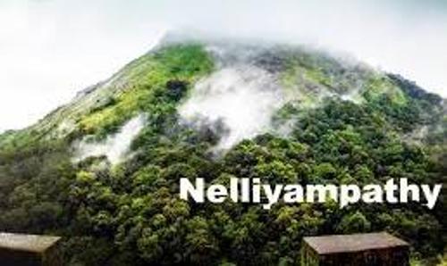 Nelliyampathy