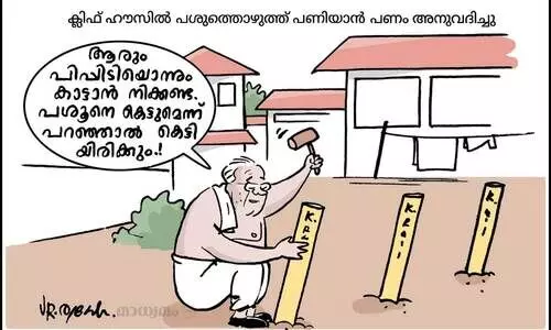 പിപ്പിടി കാട്ടാൻ നിക്കണ്ട!