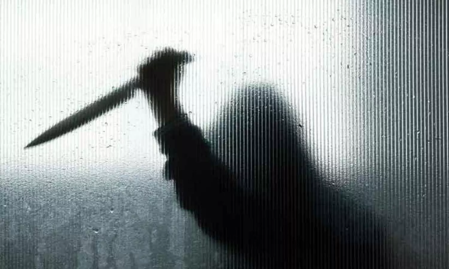 ഉദയ്പുർ കൊല: അപലപിച്ച് മുസ്‍ലിം സംഘടനകൾ