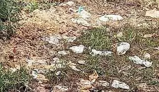 മാലിന്യക്കൂമ്പാരമായി പാലാ ജനറല്‍ ആശുപത്രി പരിസരം