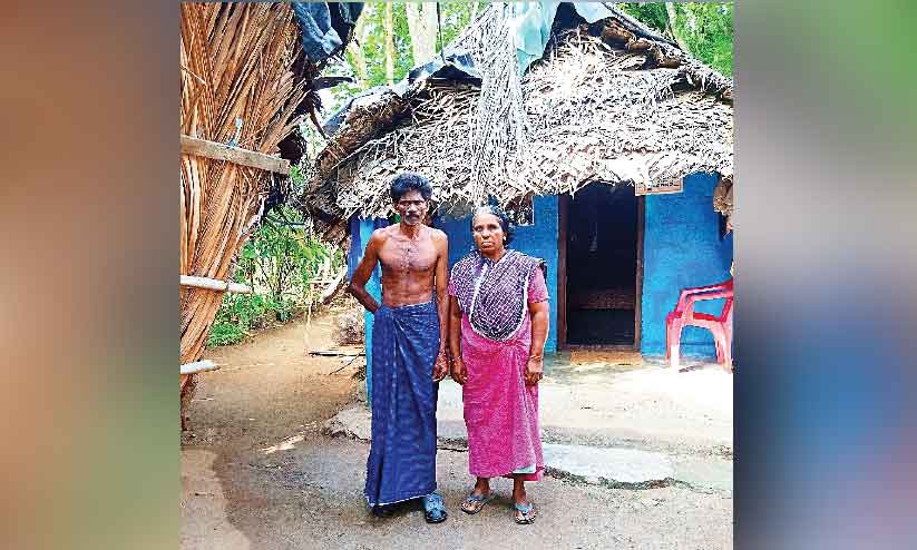 ഉദ്യോഗസ്ഥ പിടിപ്പുകേടിന്റെ ജീവിക്കുന്ന ഇര; വീടുവെക്കാൻ ഓഫിസുകൾ കയറിയിറങ്ങി ഗൃഹനാഥൻ ഉദ്യോഗസ്ഥ പിടിപ്പുകേടിന്റെ ജീവിക്കുന്ന ഇര; വീടുവെക്കാൻ ഓഫിസുകൾ കയറിയിറങ്ങി ഗൃഹനാഥൻ