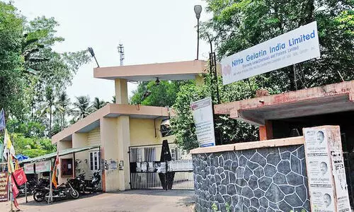 Nita Gelatin Company