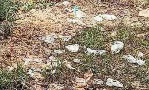 മാലിന്യക്കൂമ്പാരമായി പാലാ ജനറല്‍ ആശുപത്രി പരിസരം