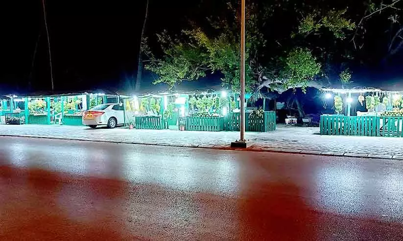 ഖരീഫ്: പുതുമോടിയിൽ ഇളനീർ കടകൾ ഖരീഫ്: പുതുമോടിയിൽ ഇളനീർ കടകൾ