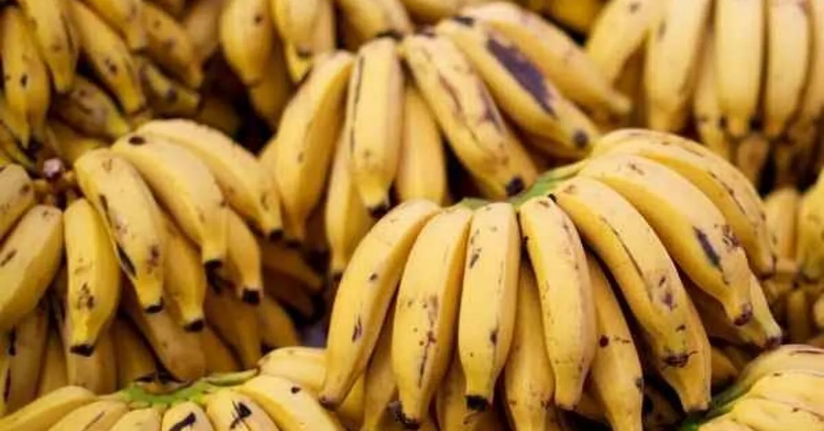 bananas bananas