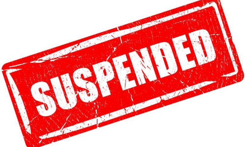 government employee suspended