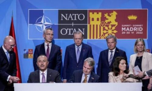 നാറ്റോ സഖ്യത്തിൽ ചേരാൻ സ്വീഡനും ഫിൻലൻഡും