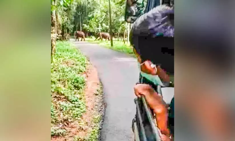 കുരുന്നുകൾക്ക് കൗതുകക്കാഴ്ചയായി; സ്കൂൾ ബസിന് മുന്നിലൂടെ കാട്ടാനക്കൂട്ടം കുരുന്നുകൾക്ക് കൗതുകക്കാഴ്ചയായി; സ്കൂൾ ബസിന് മുന്നിലൂടെ കാട്ടാനക്കൂട്ടം