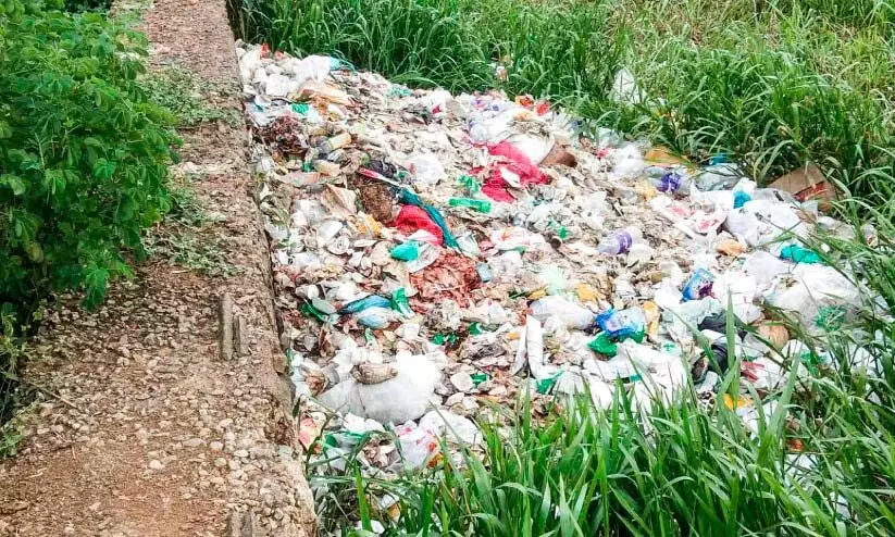 പന്തളത്ത് മാലിന്യക്കൂമ്പാരം; അധികൃതർക്ക് മൗനം പന്തളത്ത് മാലിന്യക്കൂമ്പാരം; അധികൃതർക്ക് മൗനം