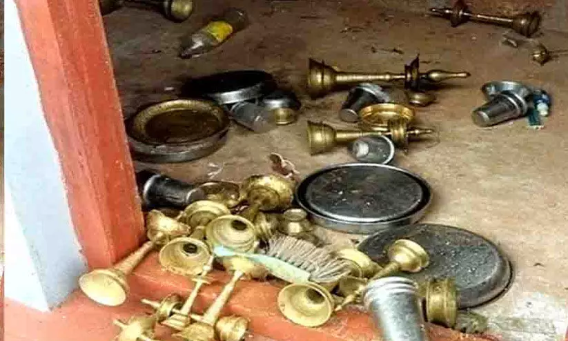 wild elephants attack