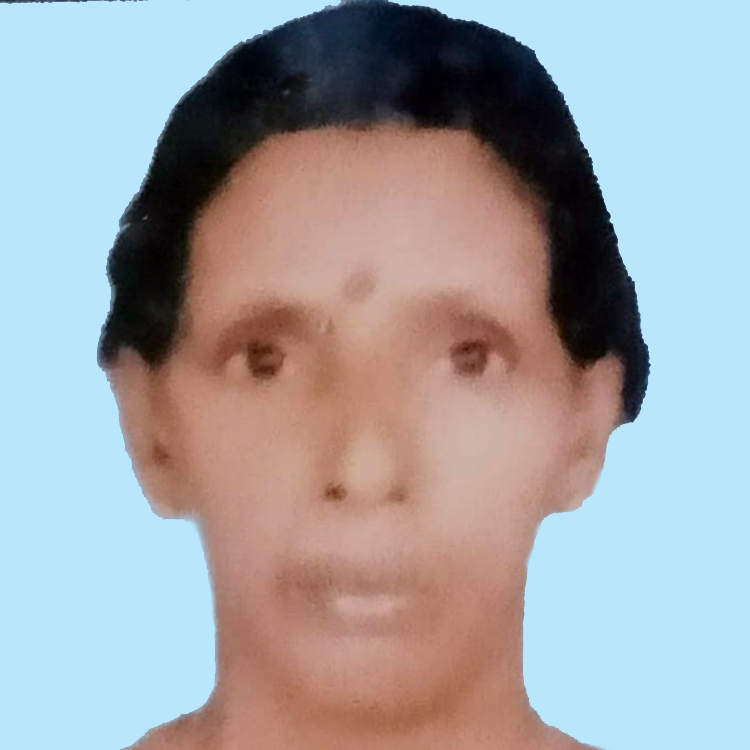 നാ​രാ​യ​ണി