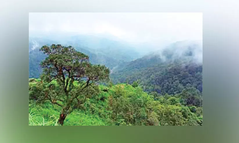 പരിസ്ഥിതി സംവേദക മേഖല; ഭേദഗതി ഹരജിയുമായി കേരളം പരിസ്ഥിതി സംവേദക മേഖല; ഭേദഗതി ഹരജിയുമായി കേരളം