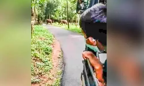 കുരുന്നുകൾക്ക് കൗതുകക്കാഴ്ചയായി; സ്കൂൾ ബസിന് മുന്നിലൂടെ കാട്ടാനക്കൂട്ടം