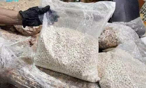 രാജ്യത്തേക്ക് കടത്താൻ ശ്രമിച്ച മയക്കുഗുളികകൾ പിടികൂടി