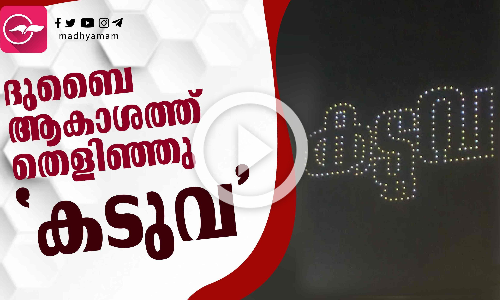 ദുബൈയുടെ ആകാശത്ത് കടുവയുടെ ഡ്രോൺ ഷോ