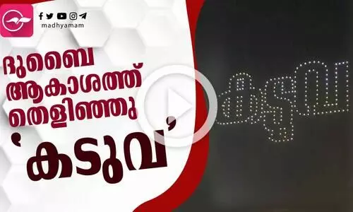 ദുബൈയുടെ ആകാശത്ത് കടുവയുടെ ഡ്രോൺ ഷോ