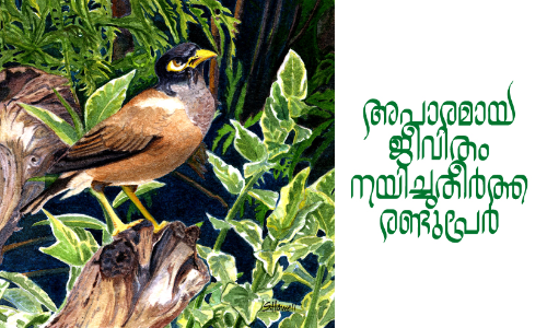 അപാരമായ ജീവിതം നയിച്ചുതീർത്ത രണ്ടുപേർ അപാരമായ ജീവിതം നയിച്ചുതീർത്ത രണ്ടുപേർ