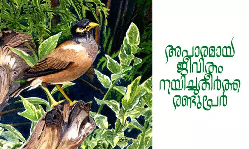 അപാരമായ ജീവിതം നയിച്ചുതീർത്ത രണ്ടുപേർ അപാരമായ ജീവിതം നയിച്ചുതീർത്ത രണ്ടുപേർ