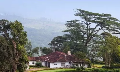 Buffer Zone Buffer Zone