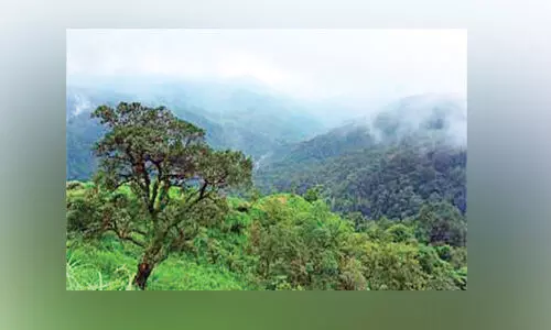 പരിസ്ഥിതി സംവേദക മേഖല; ഭേദഗതി ഹരജിയുമായി കേരളം