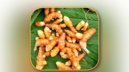 വിഷരഹിത ഭക്ഷ്യവിപണിയുമായി പന്തളം തെക്കേക്കര വിഷരഹിത ഭക്ഷ്യവിപണിയുമായി പന്തളം തെക്കേക്കര