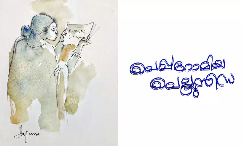 പെപ്പറോമിയ പെല്ലുസിഡ -കഥ