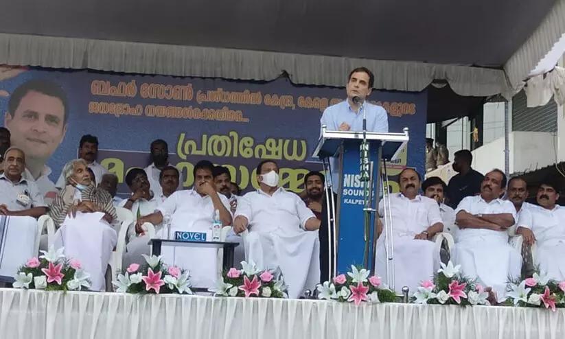 ബഫർസോൺ: മുഖ്യമന്ത്രിക്കെതിരെ രാഹുൽ ഗാന്ധി; ആശയക്കുഴപ്പം ഉണ്ടാക്കരുത്, കത്തയച്ചിട്ട് മറുപടി നൽകിയില്ല ബഫർസോൺ: മുഖ്യമന്ത്രിക്കെതിരെ രാഹുൽ ഗാന്ധി; ആശയക്കുഴപ്പം ഉണ്ടാക്കരുത്, കത്തയച്ചിട്ട് മറുപടി നൽകിയില്ല