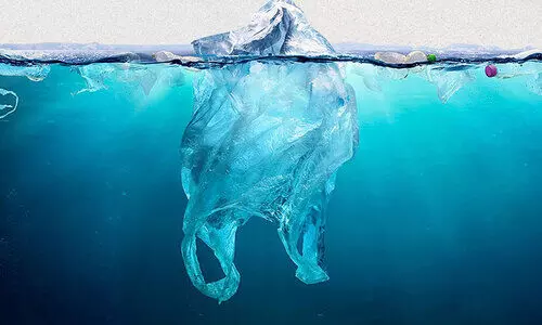 ദുബൈയിൽ ഒറ്റത്തവണ സഞ്ചികൾക്ക് ഇന്നു മുതൽ 25 ഫിൽസ് ദുബൈയിൽ ഒറ്റത്തവണ സഞ്ചികൾക്ക് ഇന്നു മുതൽ 25 ഫിൽസ്