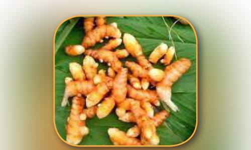 വിഷരഹിത ഭക്ഷ്യവിപണിയുമായി പന്തളം തെക്കേക്കര വിഷരഹിത ഭക്ഷ്യവിപണിയുമായി പന്തളം തെക്കേക്കര