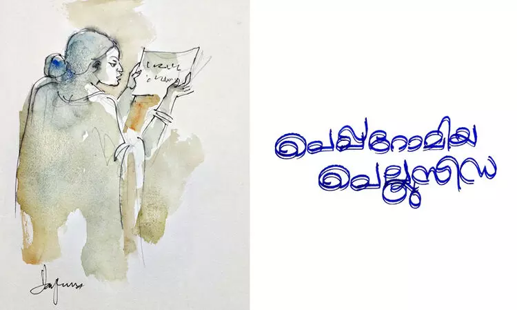 പെപ്പറോമിയ പെല്ലുസിഡ -കഥ പെപ്പറോമിയ പെല്ലുസിഡ -കഥ