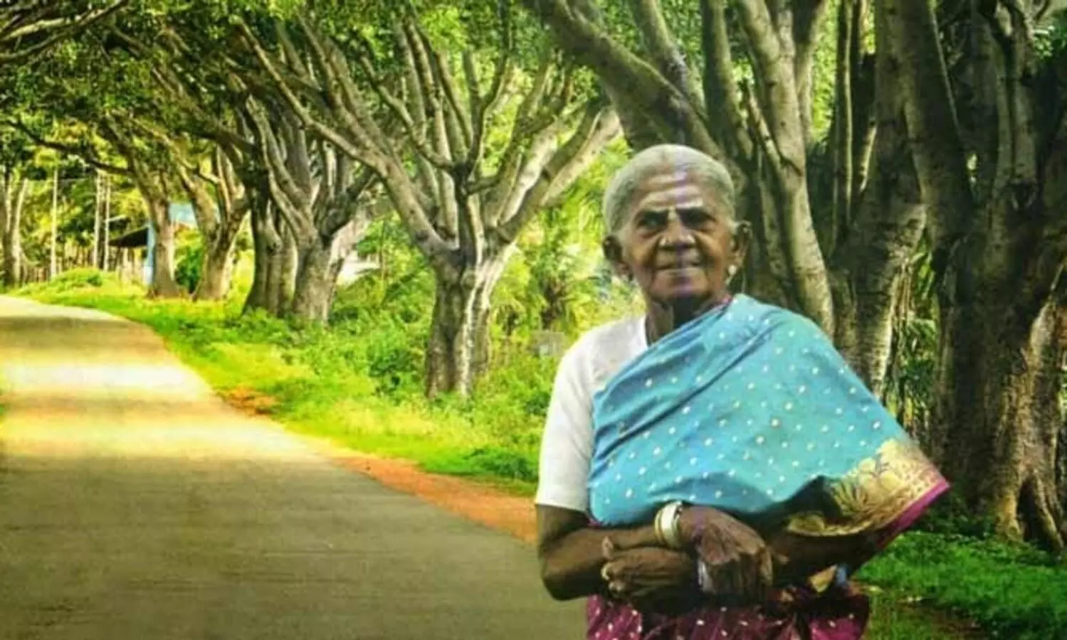 ആൽമരങ്ങൾക്ക്​ പ്രായം 70, ശാലുമാരദ തിമ്മക്കക്ക്​ 111