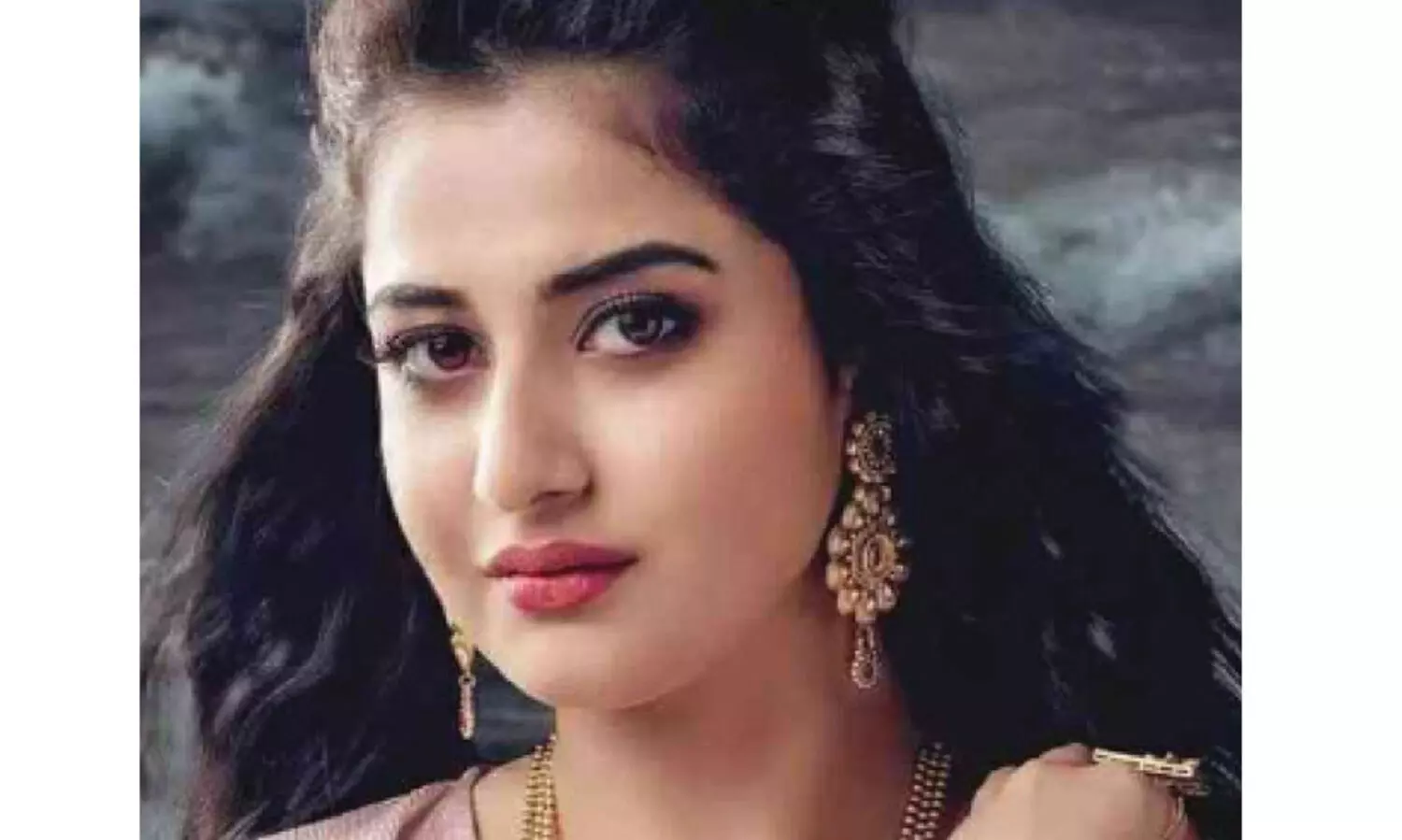 മോ​ഡ​ലി​ന്റെ ആ​ത്മ​ഹ​ത്യ: ഭ​ർ​ത്താ​വി​നെ​തി​രെ കു​റ്റ​പ​ത്രം