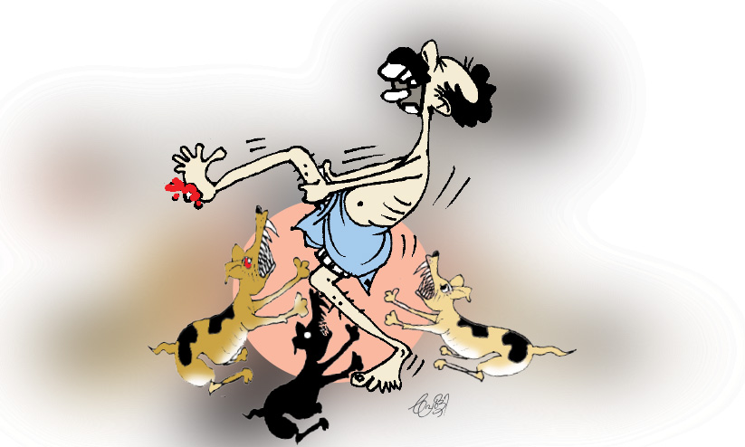 മൃഗങ്ങളുടെ കടിയേറ്റത് 7209 പേർക്ക്; പ്രതിരോധ കുത്തിവെപ്പില് ശ്രദ്ധിക്കണമെന്ന് -ഡി.എം.ഒ മൃഗങ്ങളുടെ കടിയേറ്റത് 7209 പേർക്ക്; പ്രതിരോധ കുത്തിവെപ്പില് ശ്രദ്ധിക്കണമെന്ന് -ഡി.എം.ഒ