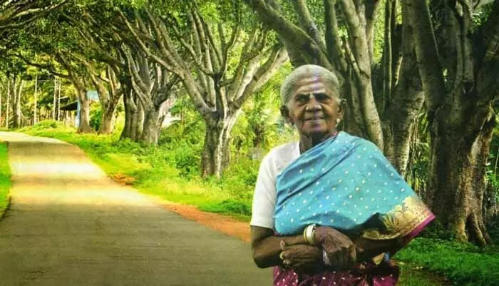 ആൽമരങ്ങൾക്ക്​ പ്രായം 70, ശാലുമാരദ തിമ്മക്കക്ക്​ 111