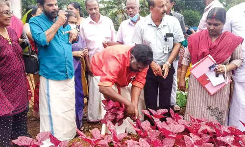 ഡെപ്യൂട്ടി സ്പീക്കറുടെ കൃഷിയിടത്തിൽ വിളവെടുപ്പ്