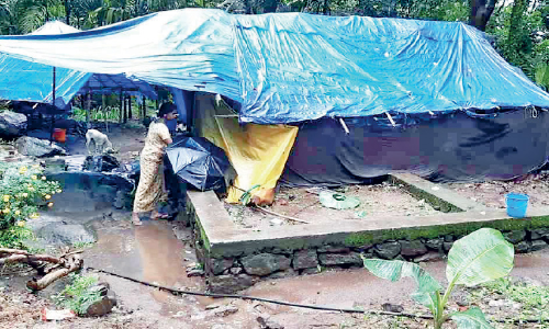 കലക്ടർ കനിഞ്ഞാൽ മാത്രം ചിങ്കക്കല്ലുകാർക്ക് വീട്