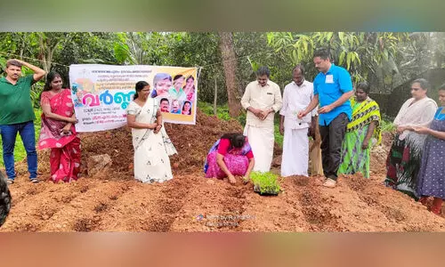 Balaramapuram Panchayat to Floriculture
