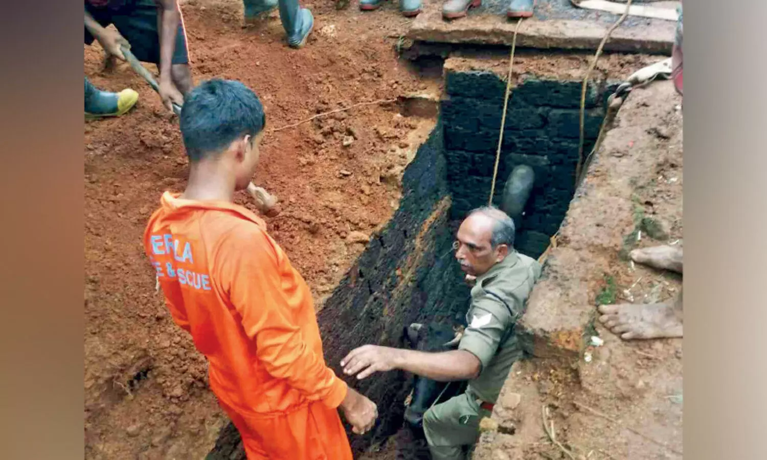 സെപ്റ്റിക് ടാങ്കിൽ വീണ പശുവിനെ രക്ഷപ്പെടുത്തി