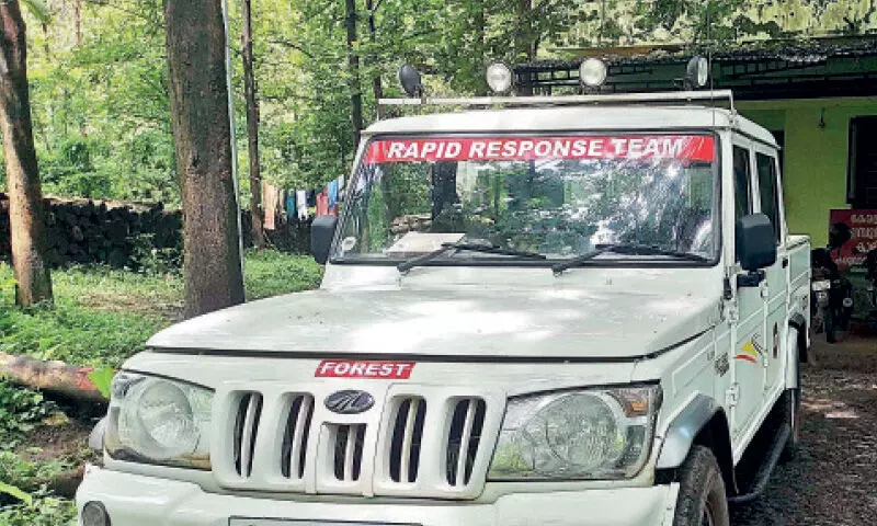 അമരമ്പലത്ത് വനം ദ്രുതകർമ സേന യൂനിറ്റ് പ്രവർത്തനം തുടങ്ങി അമരമ്പലത്ത് വനം ദ്രുതകർമ സേന യൂനിറ്റ് പ്രവർത്തനം തുടങ്ങി