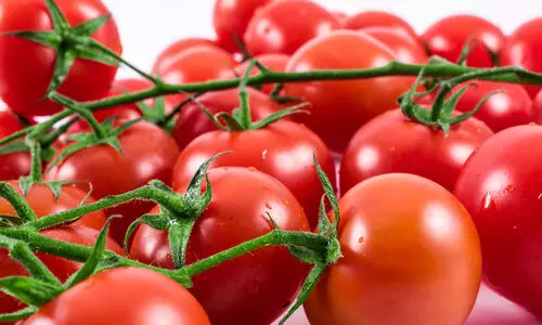 തക്കാളി കറിവെച്ചതിനെ ചൊല്ലി തർക്കം, വഴക്ക്; ഭാര്യ വീടുവിട്ടിറങ്ങി, പൊലീസിൽ പരാതിയുമായി യുവാവ്