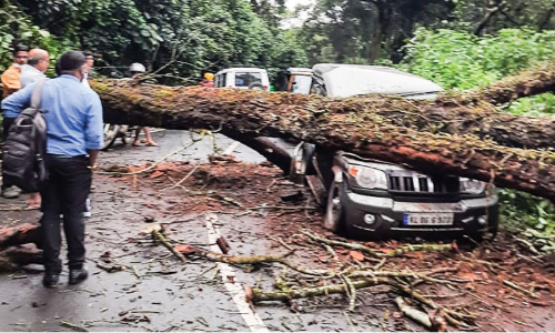 ജില്ലയിൽ മഴ​ കനക്കുന്നു; ജാഗ്രത നിർദേശം