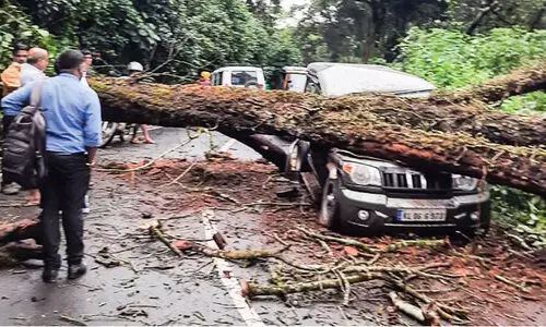 ജില്ലയിൽ മഴ​ കനക്കുന്നു; ജാഗ്രത നിർദേശം
